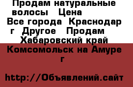 Продам натуральные волосы › Цена ­ 3 000 - Все города, Краснодар г. Другое » Продам   . Хабаровский край,Комсомольск-на-Амуре г.
